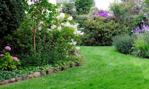 Ayurvedic Retreat in Nature