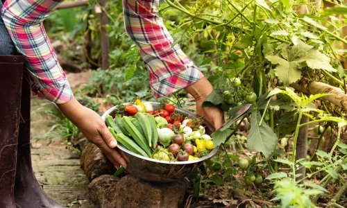 Quality Products at FarmGro FreshMart